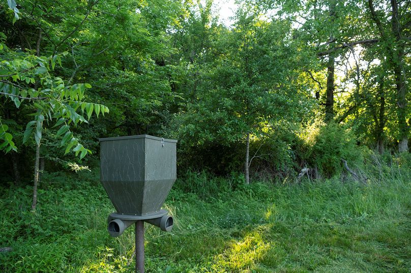 Harrison MO 480 Pro Photo_177 (9)