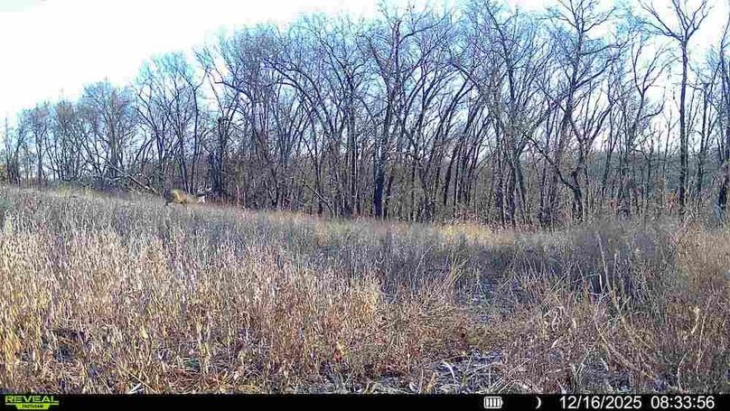 016578001710943-100-4-12162025163711-HD-SYFW00990