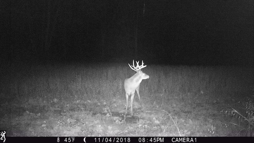 trail cam6