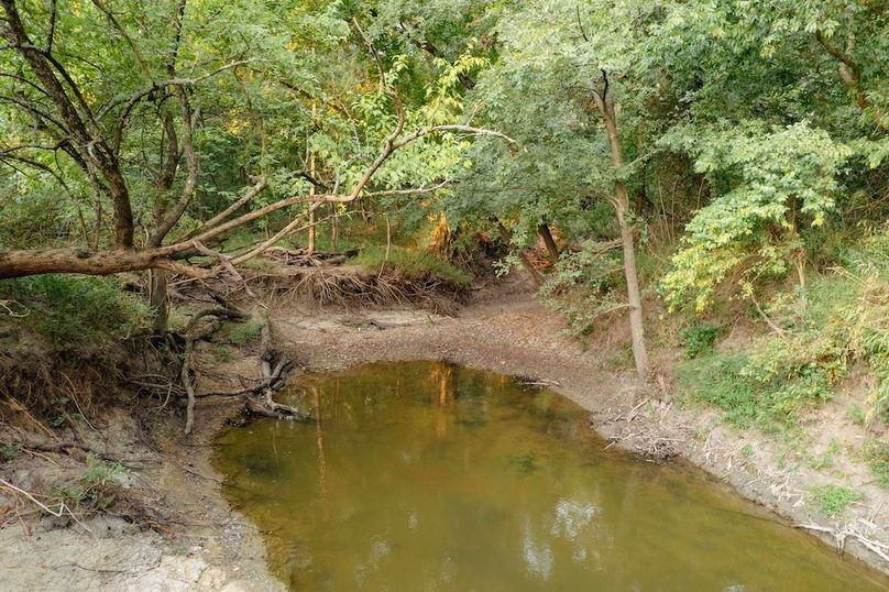 Lamar County TX 112-24