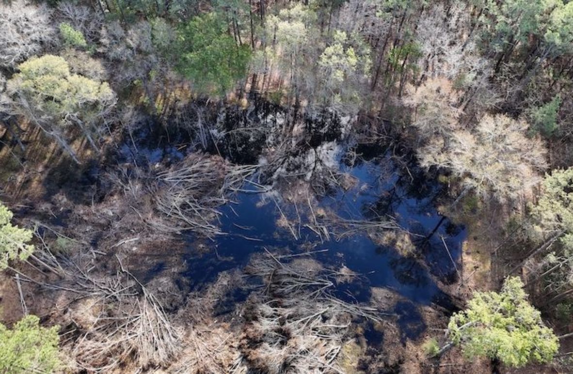 Duck hole