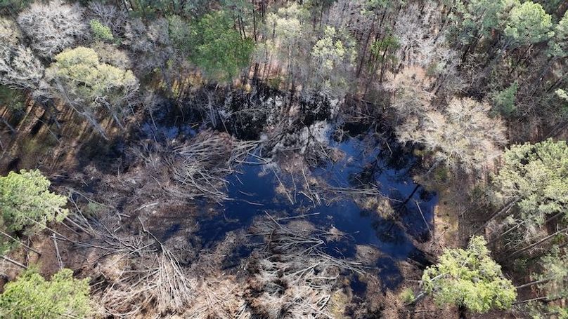 Duck hole