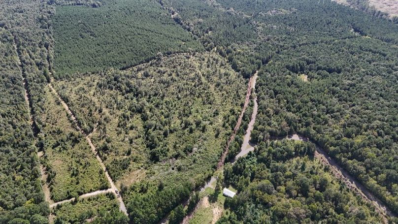 DJI_20250924035658_0751_D