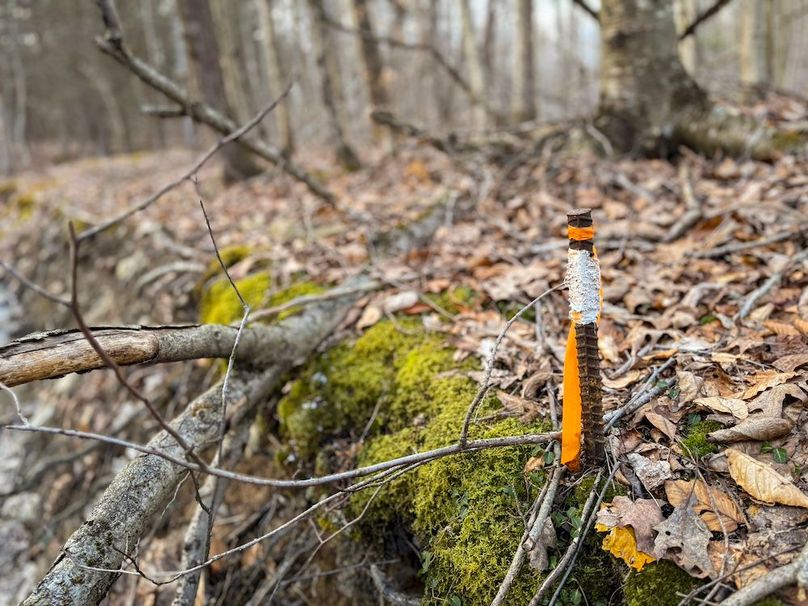 Chemung_59.65_Kocsis_photos_42