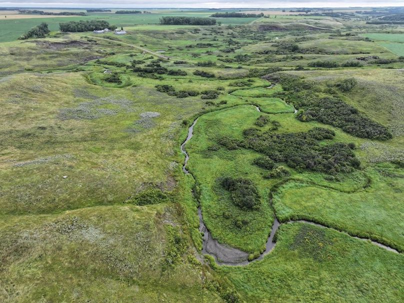 Copy of DJI_20250704141132_0626_D