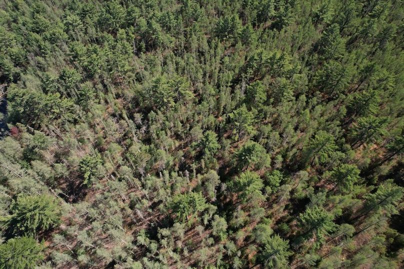 DJI_0078