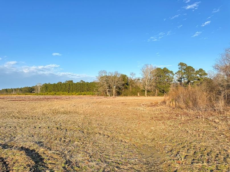 E1B1F67C-E5DC-42D0-B394-8B3158FB86D3