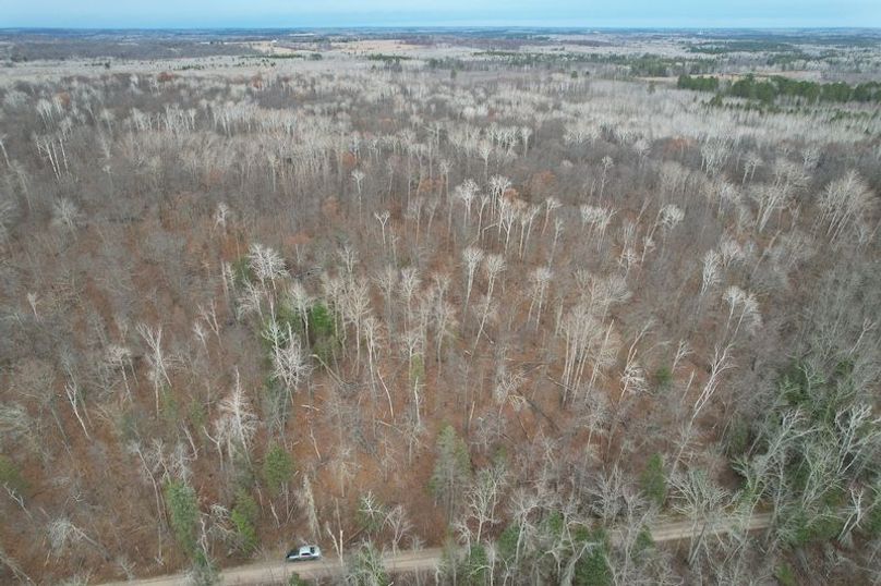 dji_fly_20251104_161320_18_1762294506305_photo