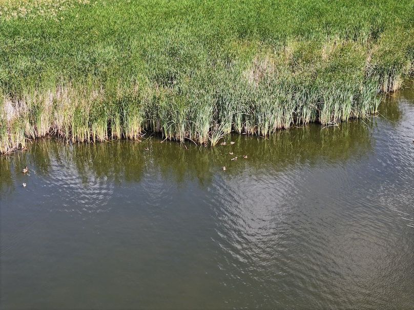 Copy of DJI_20240809103812_0230_D