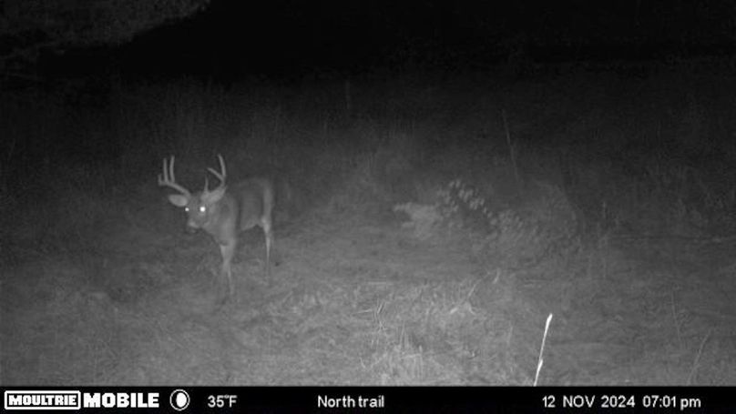 Temp_1082396-20241113010156-100MFCAM-MFDC1471