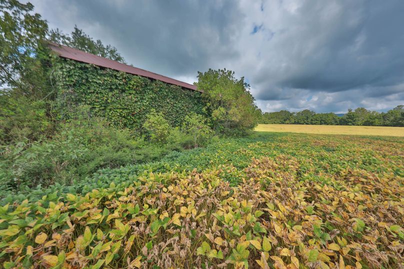 001 Barn at front of property