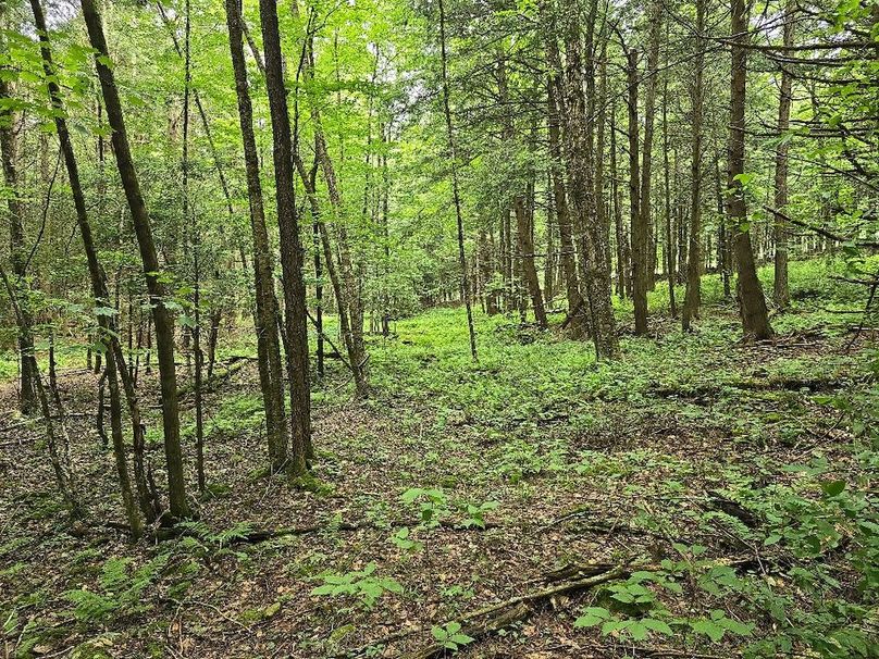 photo_6fa6510f-0d1a-4c1a-aa83-3e630f5387a3