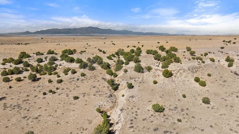 DJI_20251015124023_0128_D