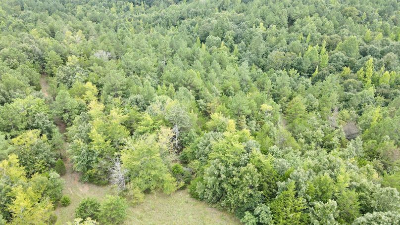 dji_fly_20230808_154030_261_1691523640286_photo