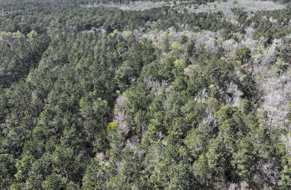 DJI_20260311122420_0510_D