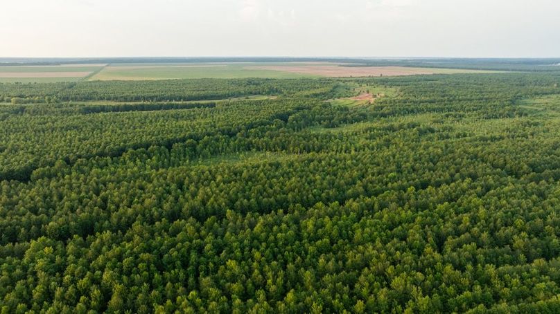 MadisonParLa1372-062