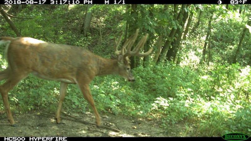 2018-08-17 15-17-10 M 1_1