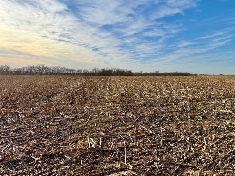 Copy of IMG_7188 Large