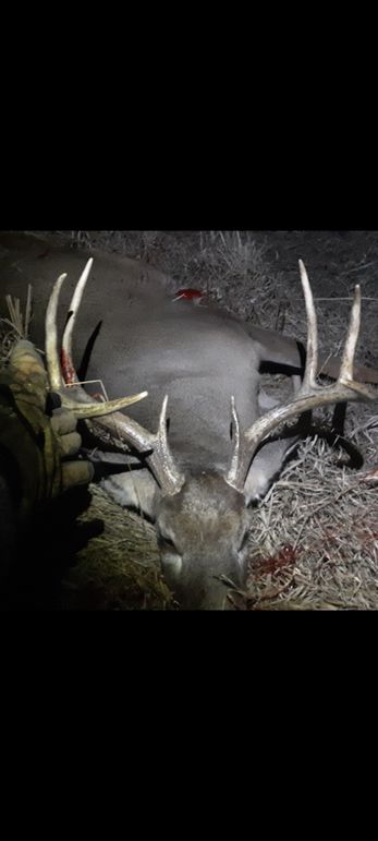 Screenshot_20231003-174507_Photos