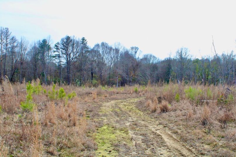 D2F22C51-09B7-4557-A68F-306DD6F77275_1_201_a