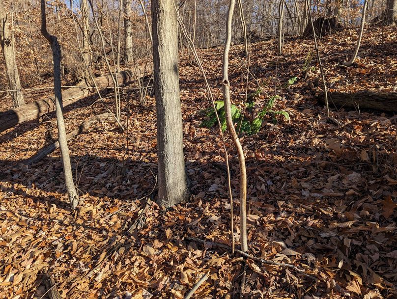 PXL_20231215_171537480