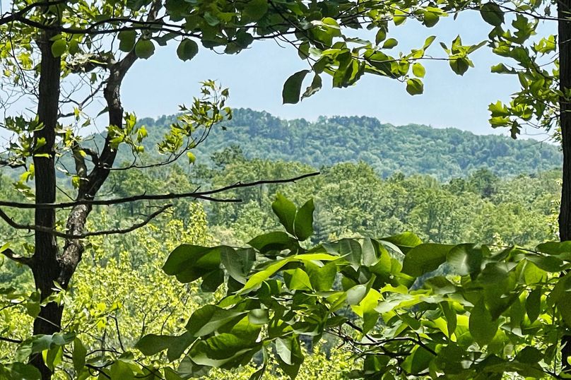 03 Mountain Views 10