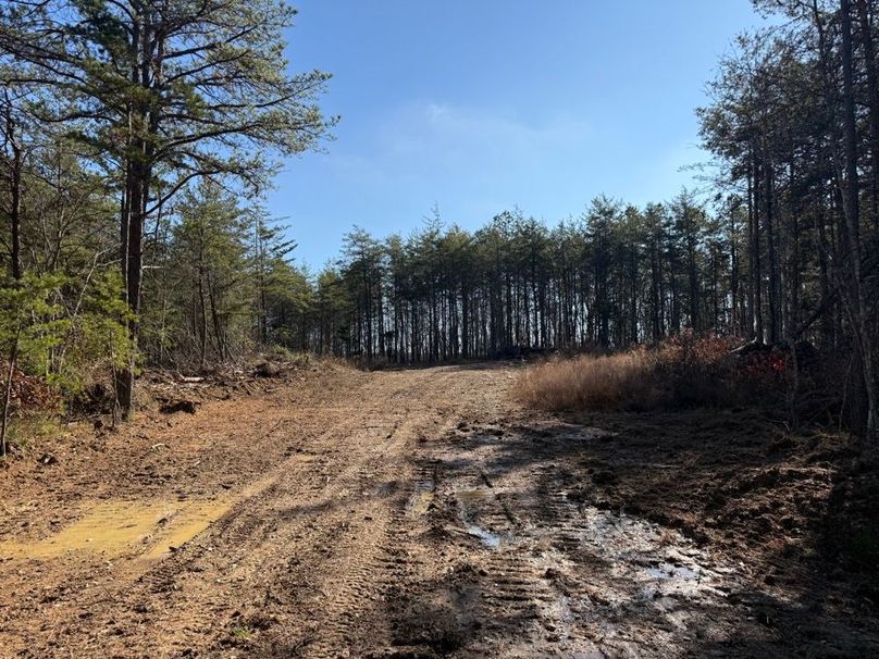 003 the gentle road leading into the property