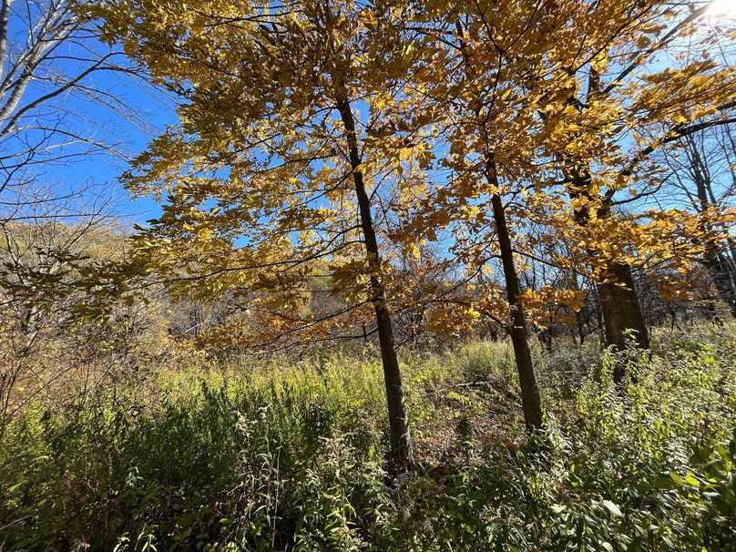 Schuyler_25.155_Ennis_Photos_25