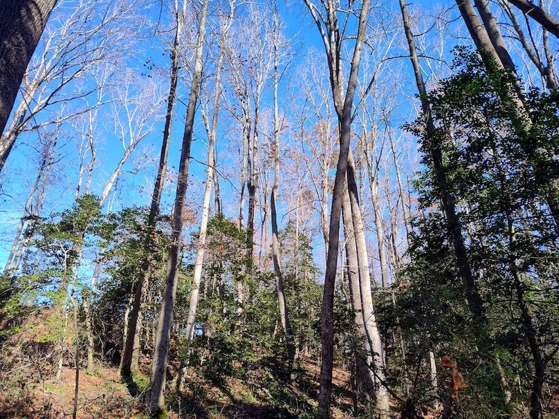 IMG_20251124_113814115_HDR