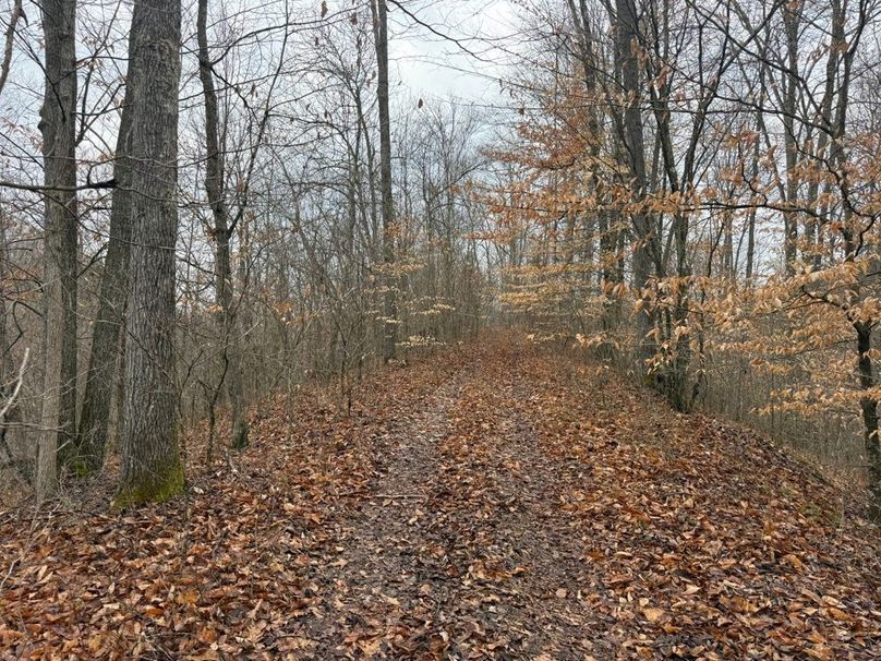 015 a trail leading north along the lower elevation center ridge