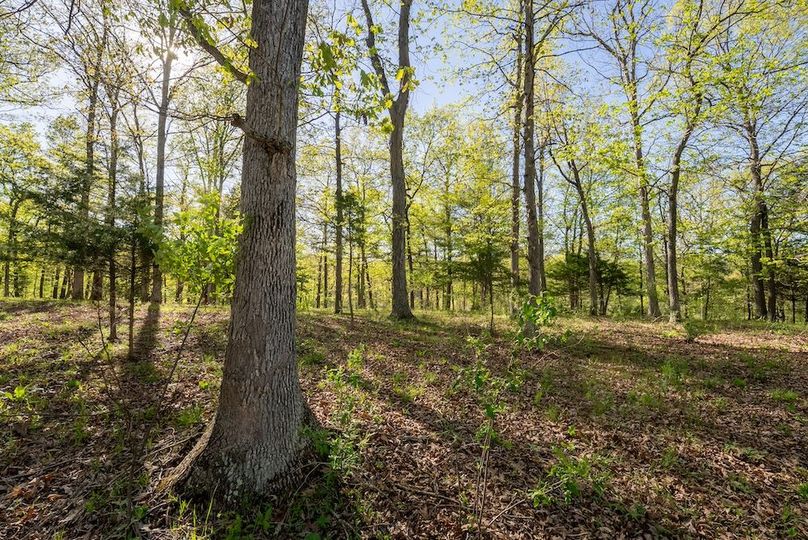 Hampshire WV 106 Featured_Pro Photo-36