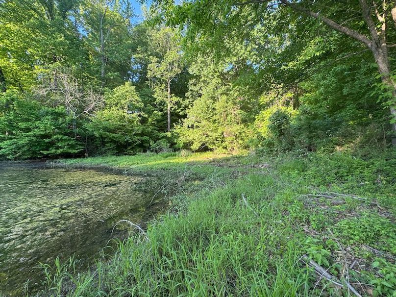 Desoto 8.3 Clement (Final Frontier) -16