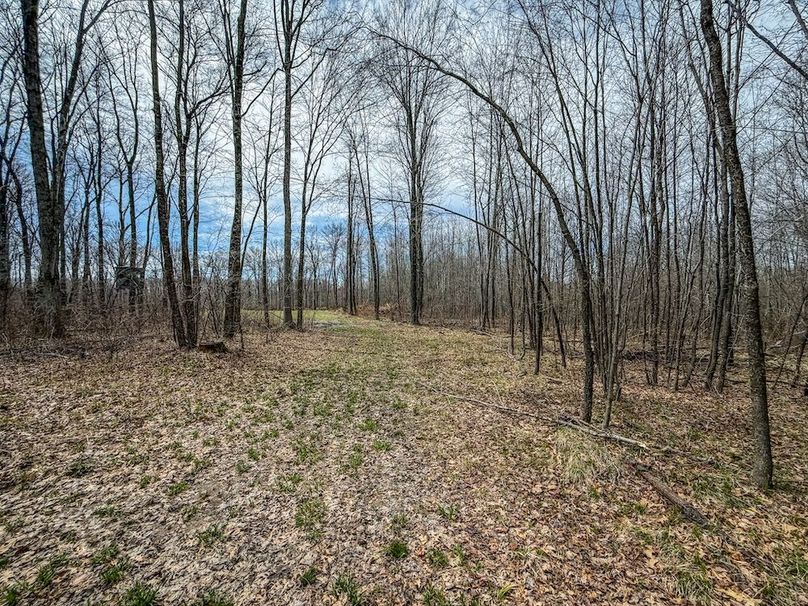 ClarK 160 WILLIAMS -62