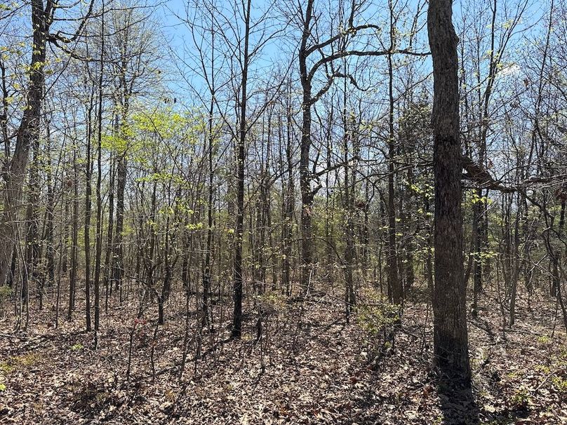 DJI_20260408_135742_804