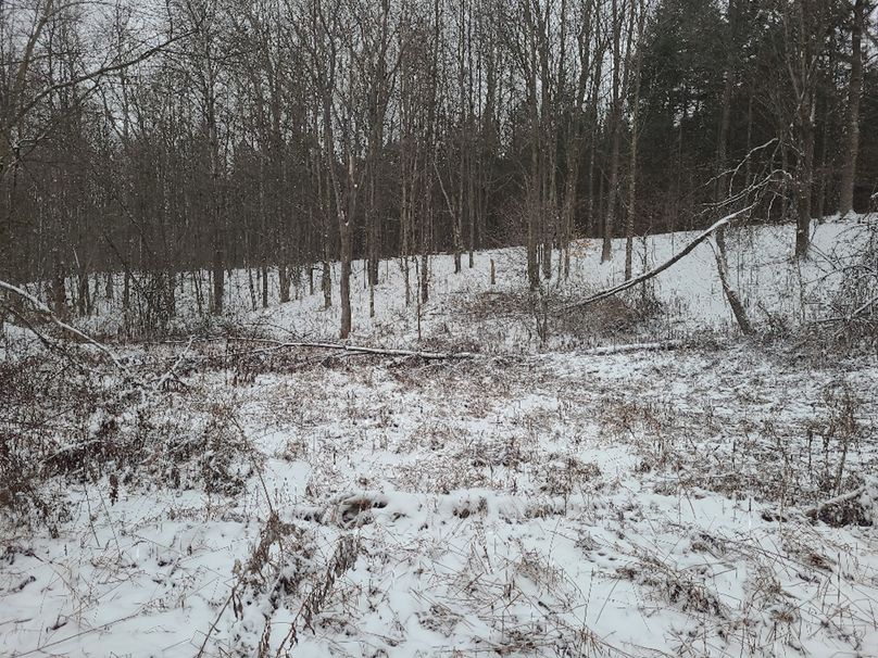 photo_828000000