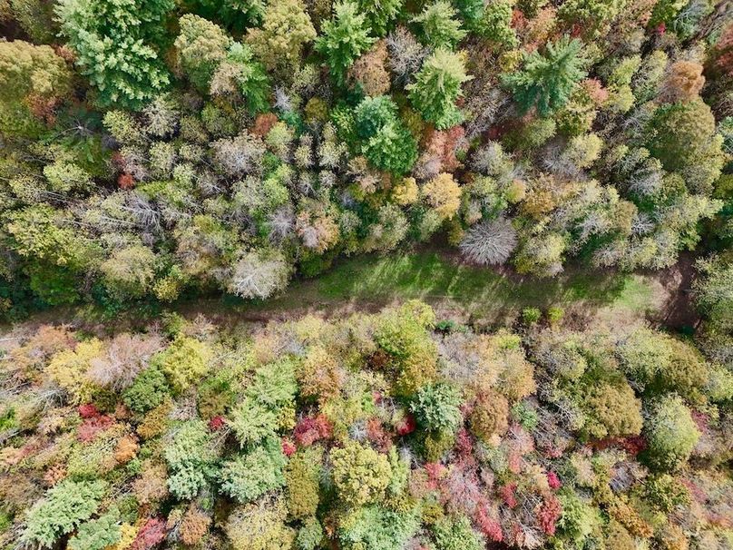 DJI_20251024133441_0102_D