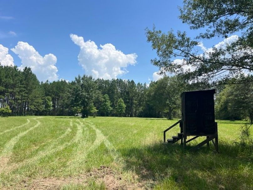 8B2B0352-2399-4B3D-9768-A29691EC0C0D_1_105_c