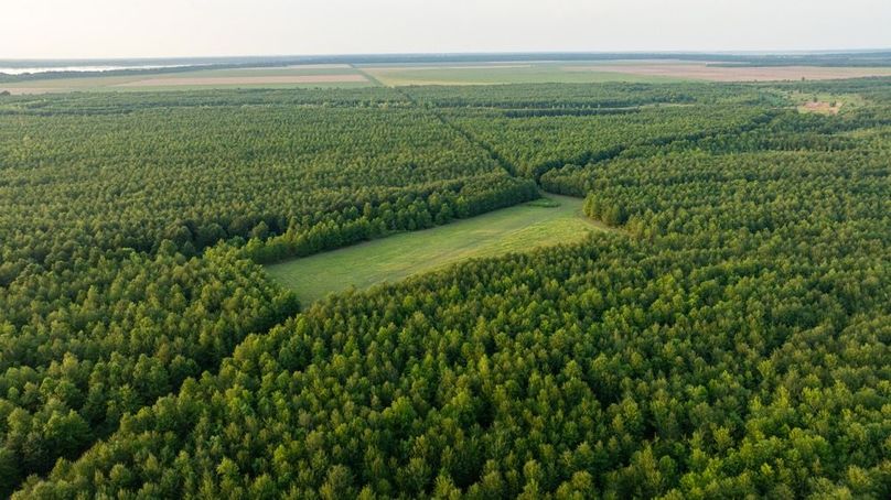 MadisonParLa1372-065