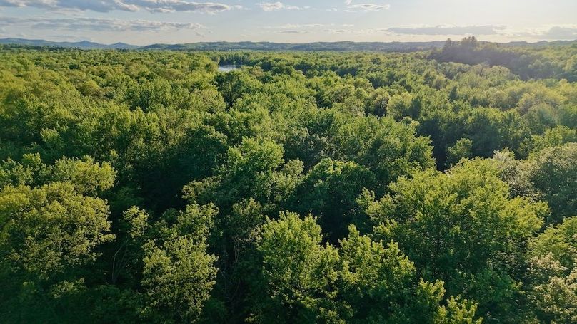 La Crosse 56.17 - 15