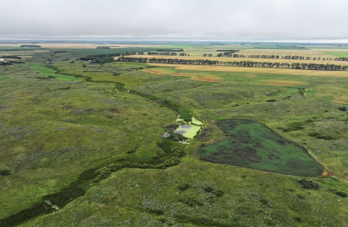 DJI_20250704133246_0604_D