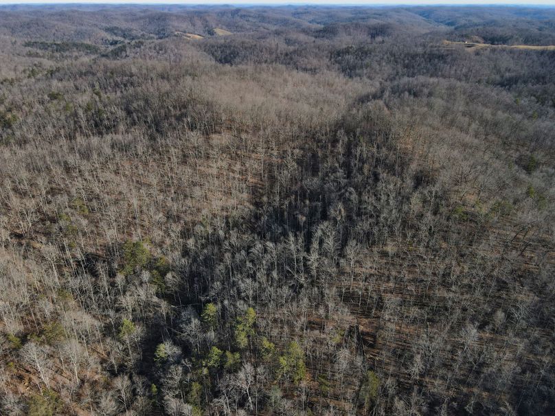 018 aerial view of the head of the hollow