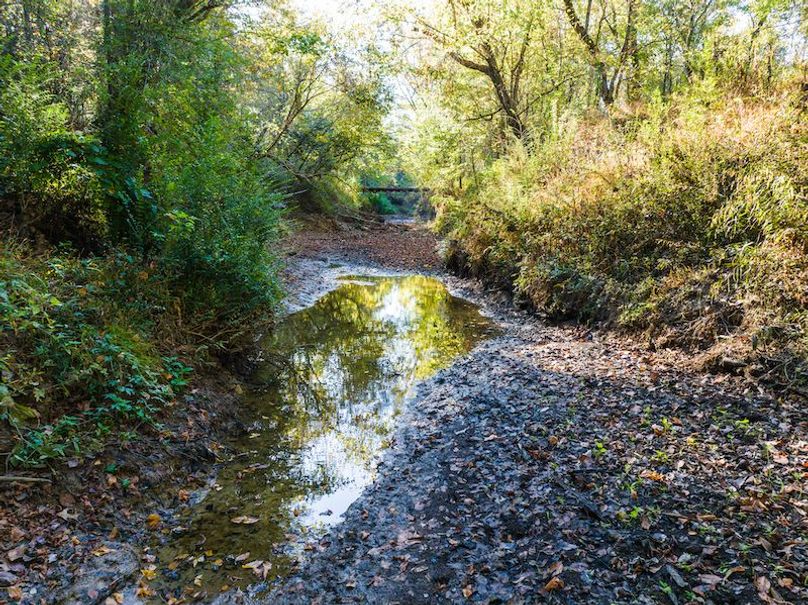 Clay 302.7 Henderson-20