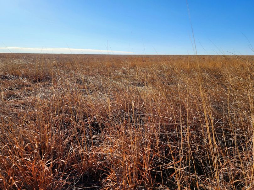 Copy of 20230208_090623