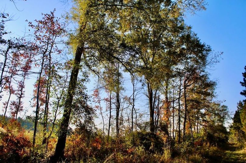 BF6CF274-4413-4403-B2AC-0BB7ECB6AF01_1_105_c