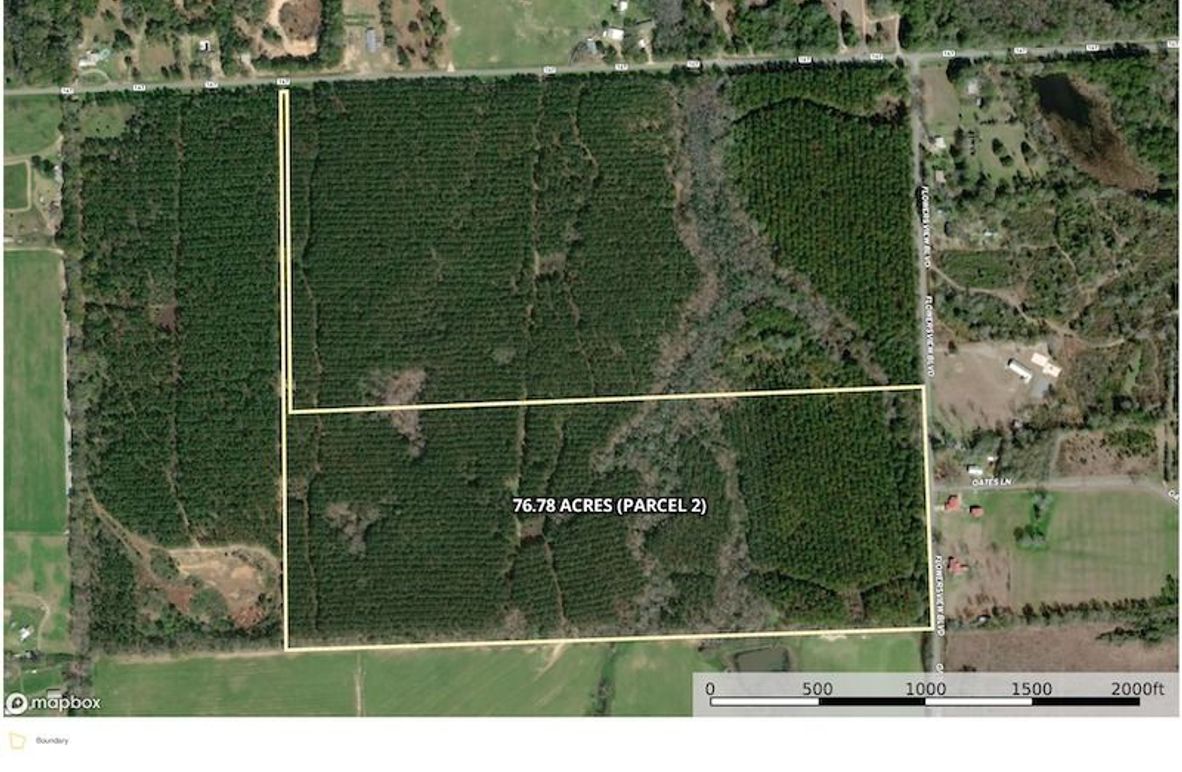 Aerial #1 -76.78 Acres Walton, FL. - Infinite Velocity Trust