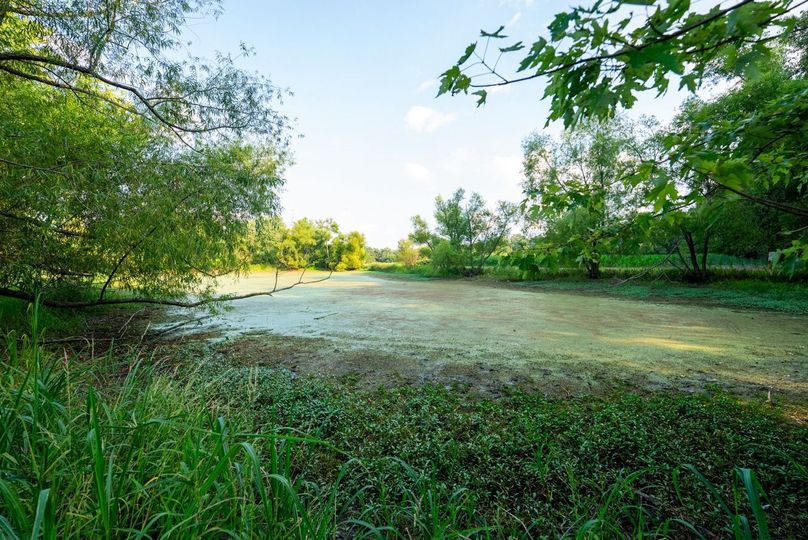 Copy of DSC06158 Large