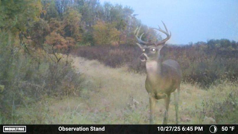 Fleming Petry 120-041