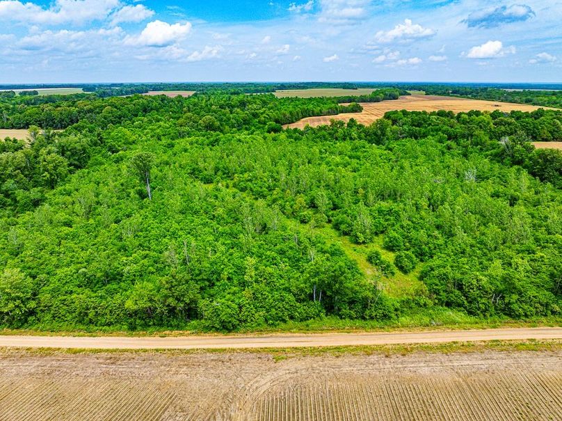 Copy of Noxubee 70 +- Tract 3-03