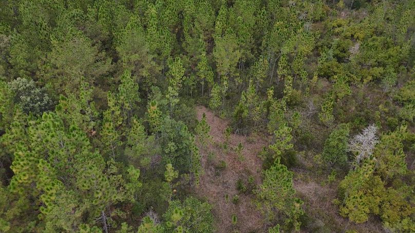 DJI_20251030123505_0005_D