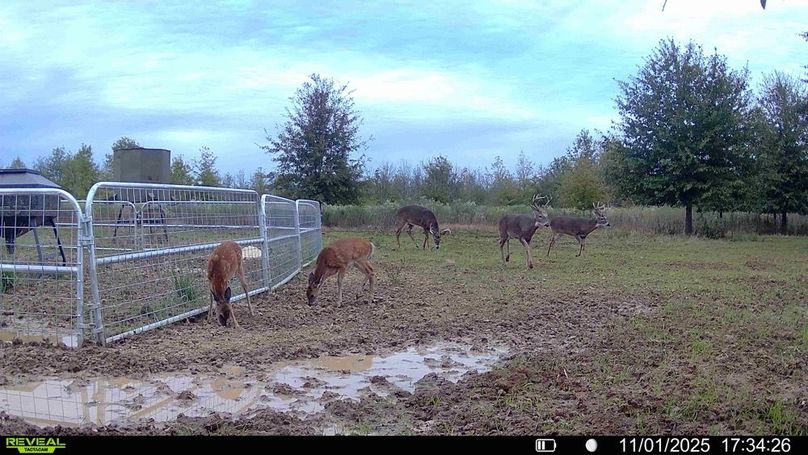 016579002873979-32-2-11012025174708-HD-SYFW02182